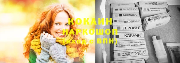 индика Абинск