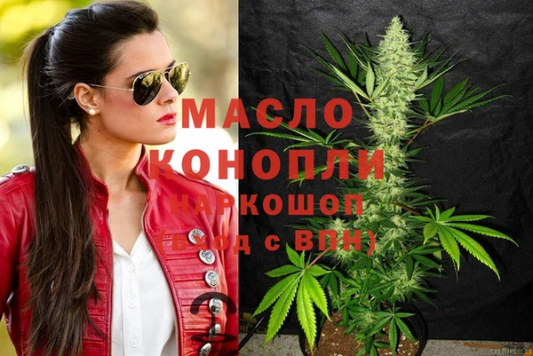 индика Абинск