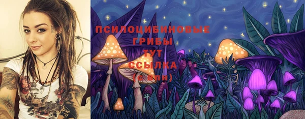 2c-b Алзамай