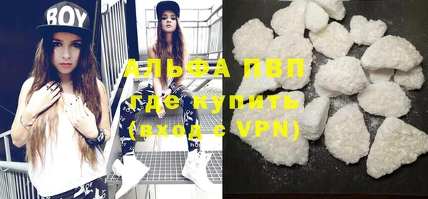 индика Абинск