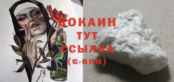индика Абинск