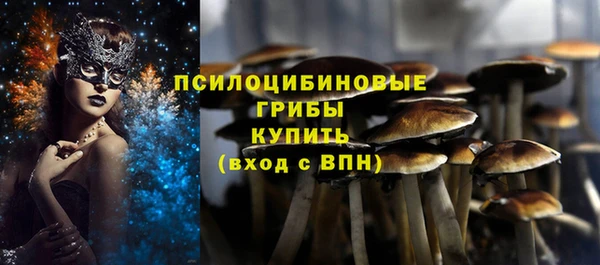 2c-b Алзамай