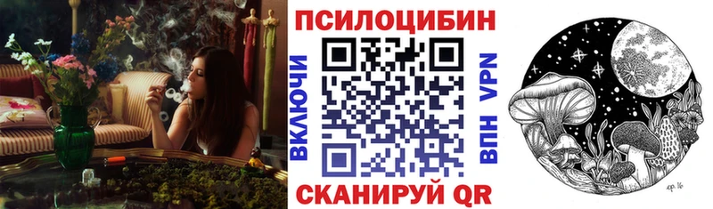 блэк спрут зеркало  Каргополь  Псилоцибиновые грибы мицелий 